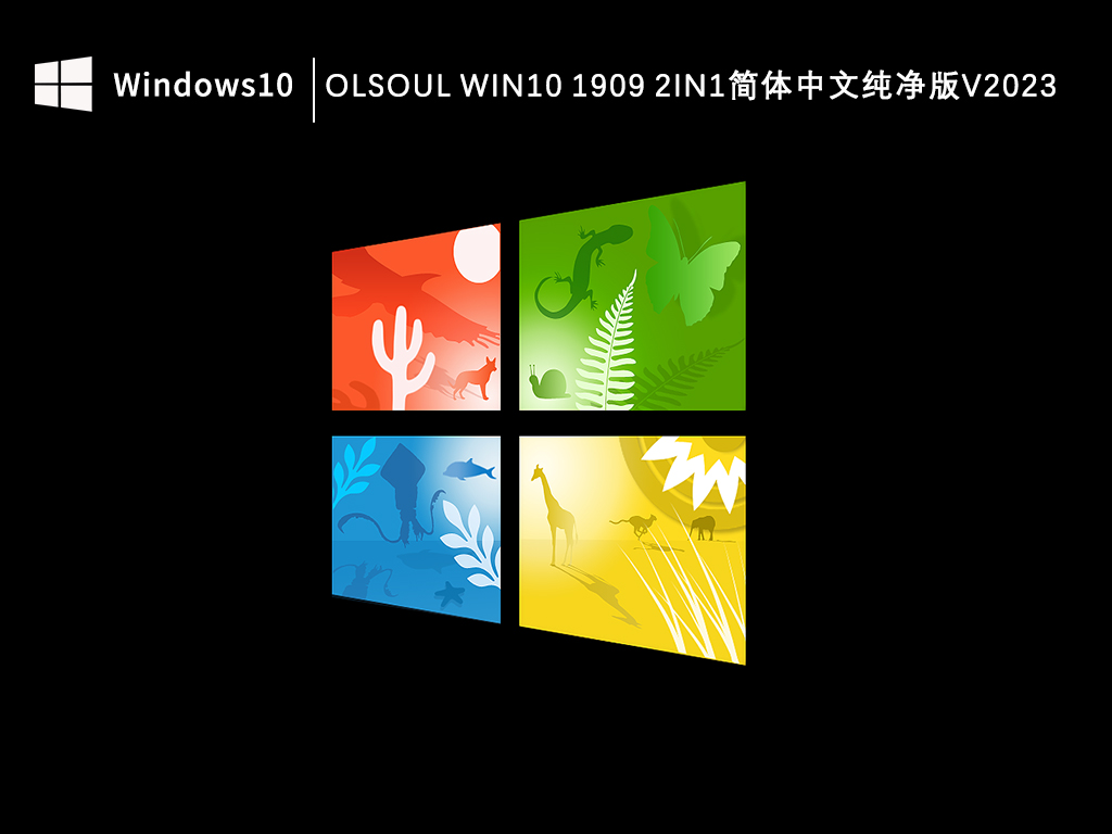 OlSoul Win10 1909 18363.2274 2in1简体中文纯净版