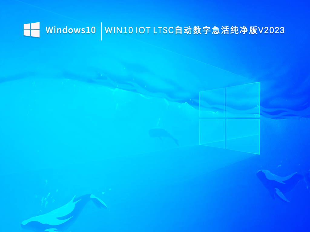 Win10 IoT LTSC自动数字急活纯净版